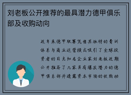 刘老板公开推荐的最具潜力德甲俱乐部及收购动向